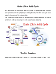 Krebs (Citric Acid) Cycle