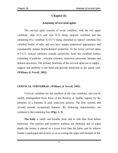 Chapter (I) Anatomy of cervical spine