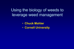 Using the Biology of Weeds to Leverage Weed Management