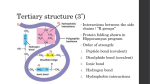 Tertiary structure (3*)