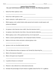 Igneous Rocks Worksheet