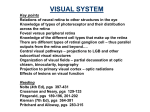 VISUAL SYSTEM Key points Relations of neural retina to other