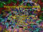 Psilocybin and Consciousness