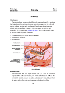 Intermediate Filaments