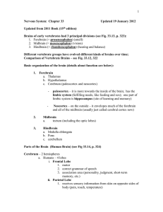 Vertebrate Zoology BIOL 322/Nervous System Ch 33 and Brain