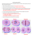 Telophase Interphase Anaphase Prophase Metaphase Cytokinesis