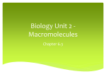 Biology Unit 2