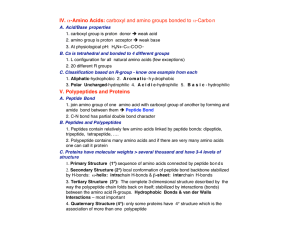 IV. -Amino Acids: carboxyl and amino groups bonded to