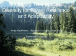 Managing for tree species diversity in a changing climate