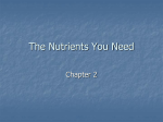 The Nutrients You Need