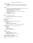 Chapter 37- The Circulatory System