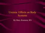 Uremia: Effects on Body Systems