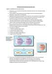 Marketing communications final exam notes Chapter 1: marketing