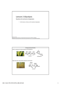 Lecture 2 Glycolysis