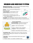 The Nervous System