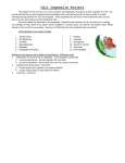 Cell Organelle Project