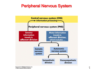 Copy of PNS philadelphia