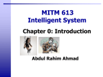 MITM613