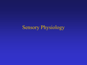 Sensory Physiology