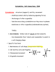 Cytoskeleton, Cell Connections, ECM