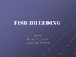 basic features of breeding