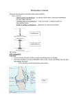 Rheumatology Physical Examination