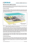 Side Scan Sonar (SSS) surveying