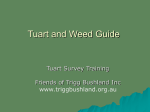 Tuart and weed Guide - Friends of Trigg Bushland