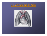 ANATOMY OF LUNGS