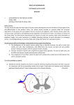 BASICS OF NEUROBIOLOGY Zsolt Liposits and Imre Kalló 2016