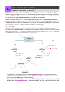 Light-independent reactions