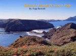 Channel islands National Park