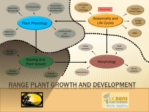 Plant Physiology