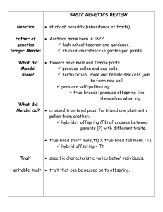 Ch11 notes Master