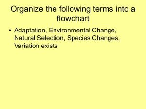 Evolution Big Idea Powerpoint