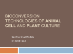 PLANT AND ANIMAL CELL CULTURE 2015A