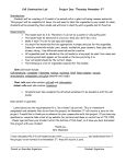 Cell Model Requirements