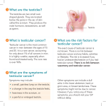 What are the testicles? What are the risk factors for testicular cancer