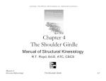 Chapter 4 The Shoulder Girdle