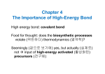 Chapter 4 The Importance of High