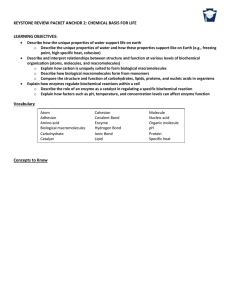 Keystone Review Packet #2 Answers