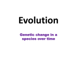 Evolution