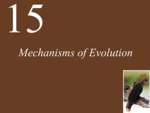 Mechanisms of Evolution