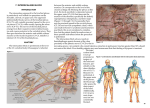 7. interscalene block