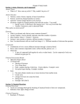 Section 1 Atoms, Elements, and Compounds