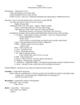 6th Chapter 3 notes Mesopotamia