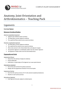 Anatomy, Joint Orientation and Arthrokinematics