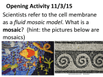 Do Now (Cell membrane Day 1)