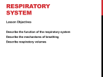 the respiratory system