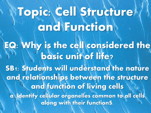 Cell Structure and Function